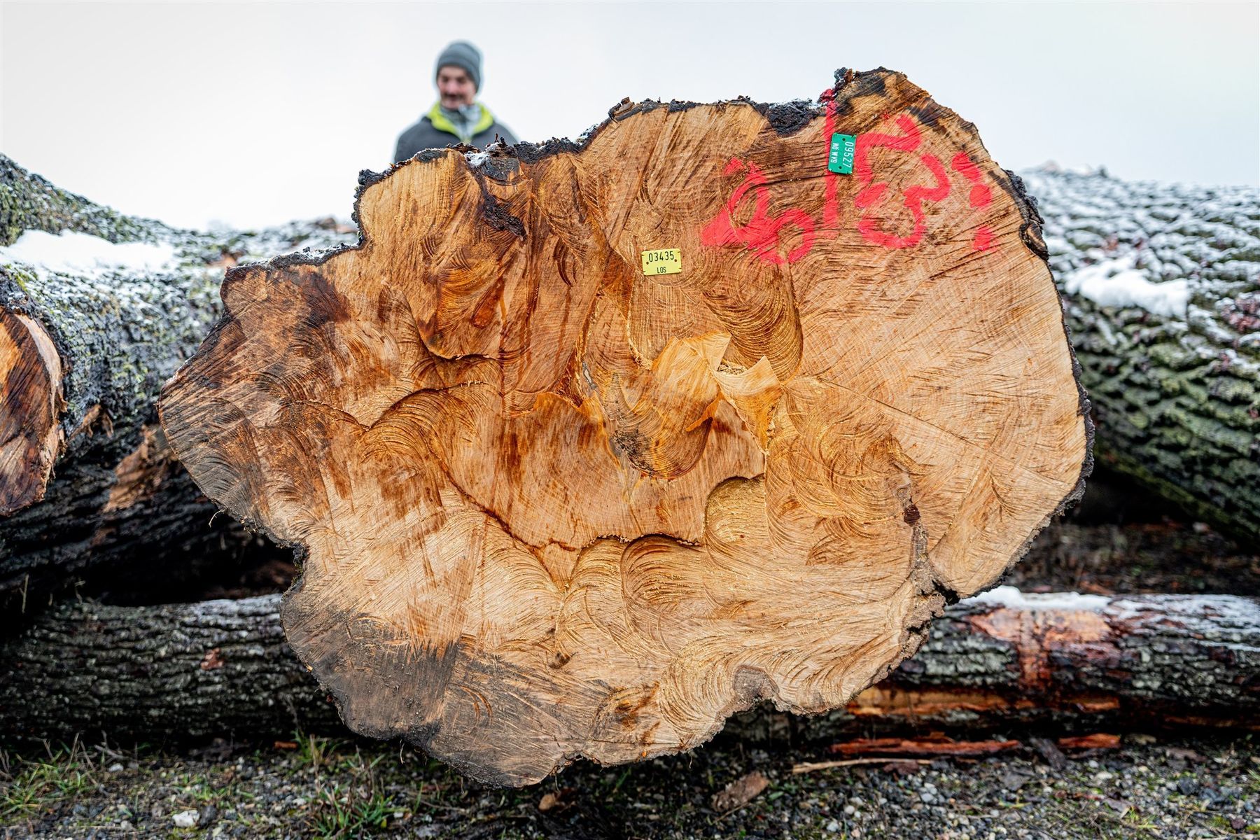 © Georg Pomaßl/LK Niederösterreich © Georg Pomaßl/LK Niederösterreich
