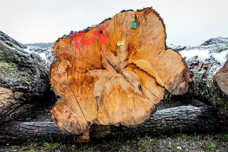 © Georg Pomaßl/LK Niederösterreich