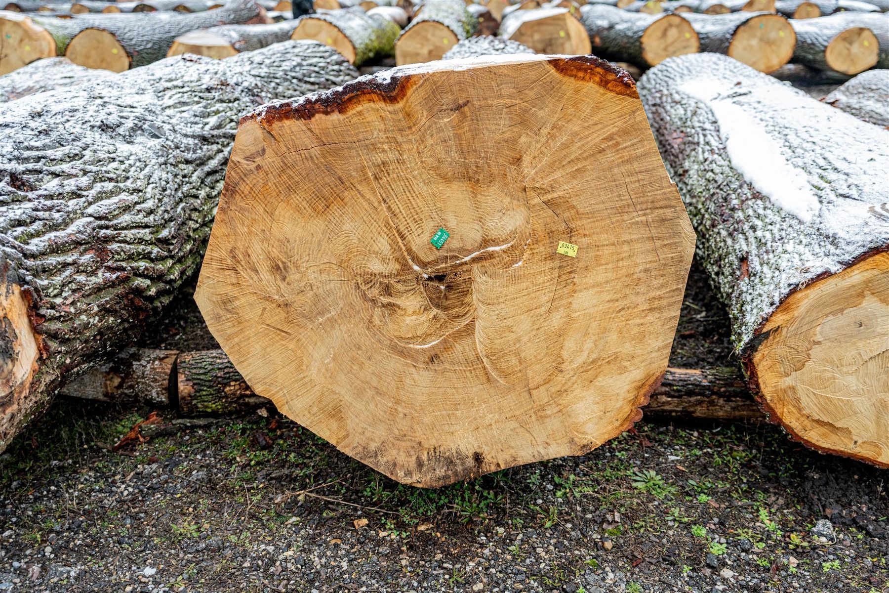 © Georg Pomaßl/LK Niederösterreich © Georg Pomaßl/LK Niederösterreich