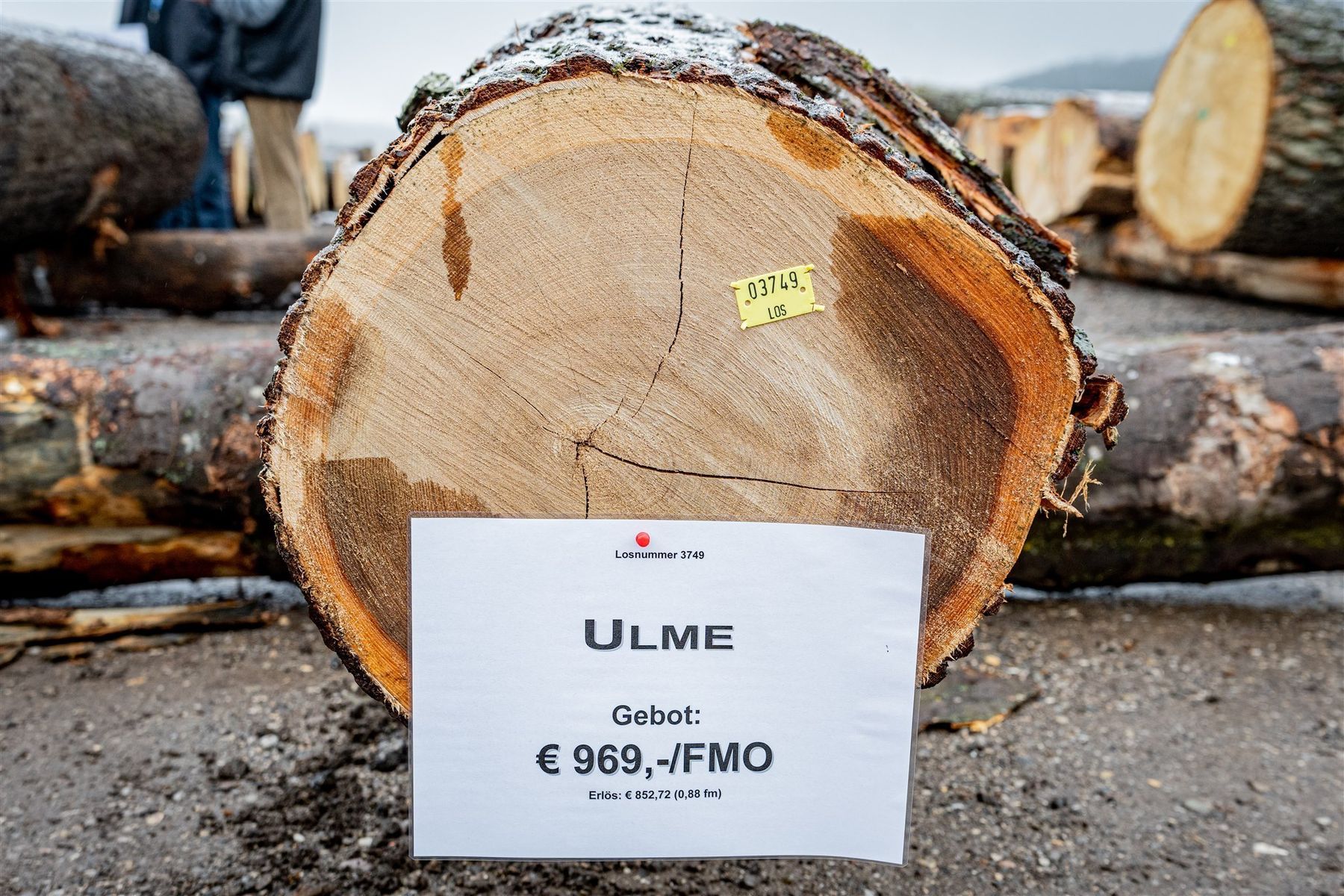 © Georg Pomaßl/LK Niederösterreich © Georg Pomaßl/LK Niederösterreich