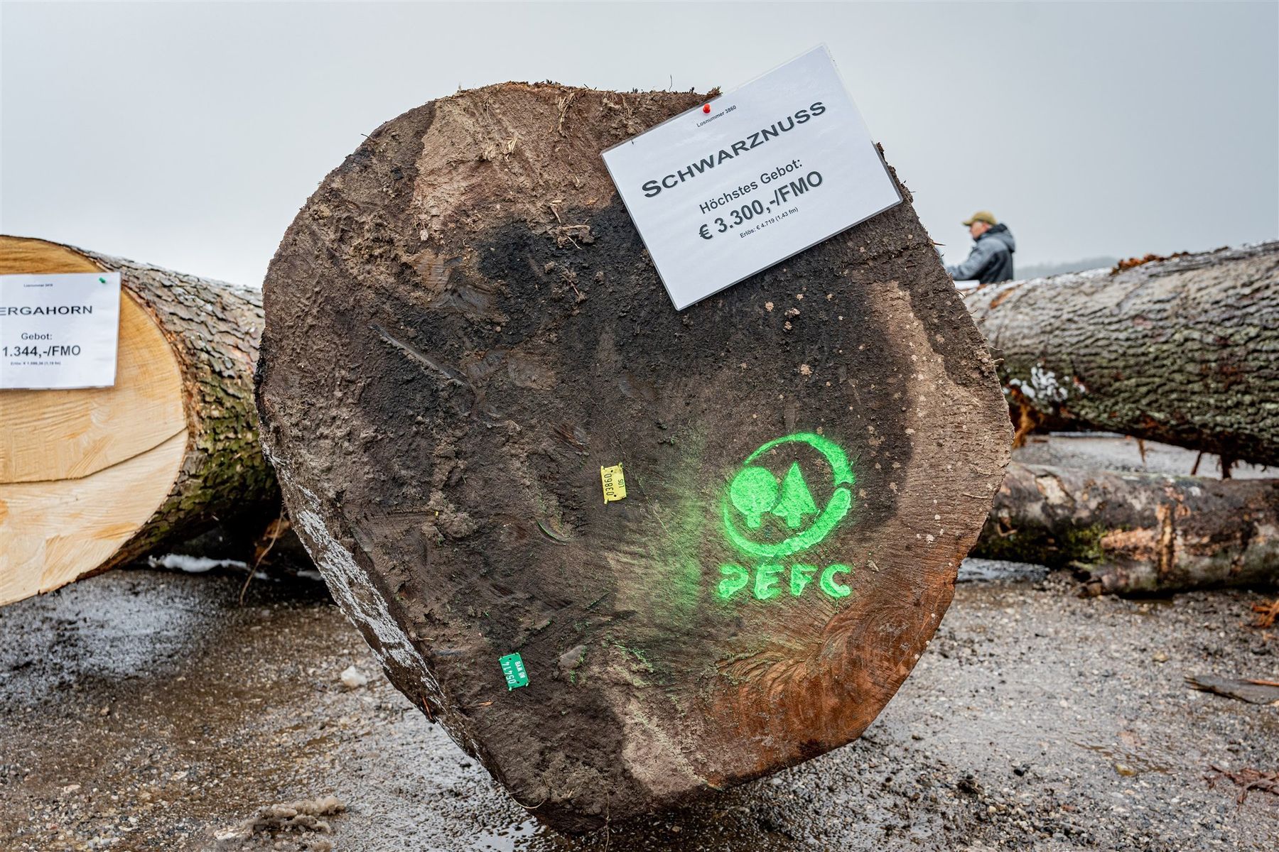 © Georg Pomaßl/LK Niederösterreich © Georg Pomaßl/LK Niederösterreich