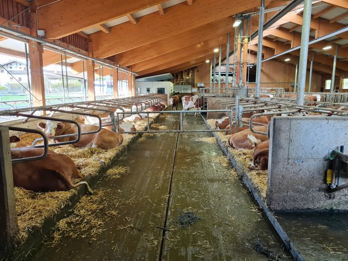 © AK Milch © AK Milch