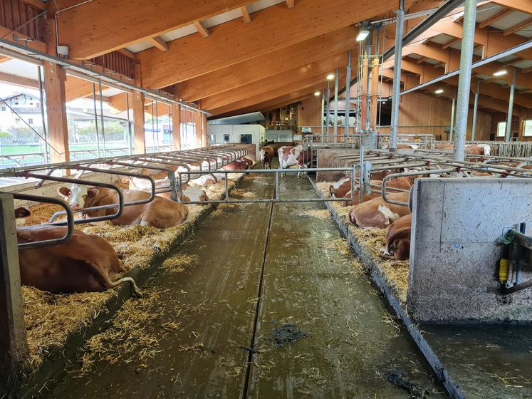Arbeitskreis Milchproduktion in Südtirol