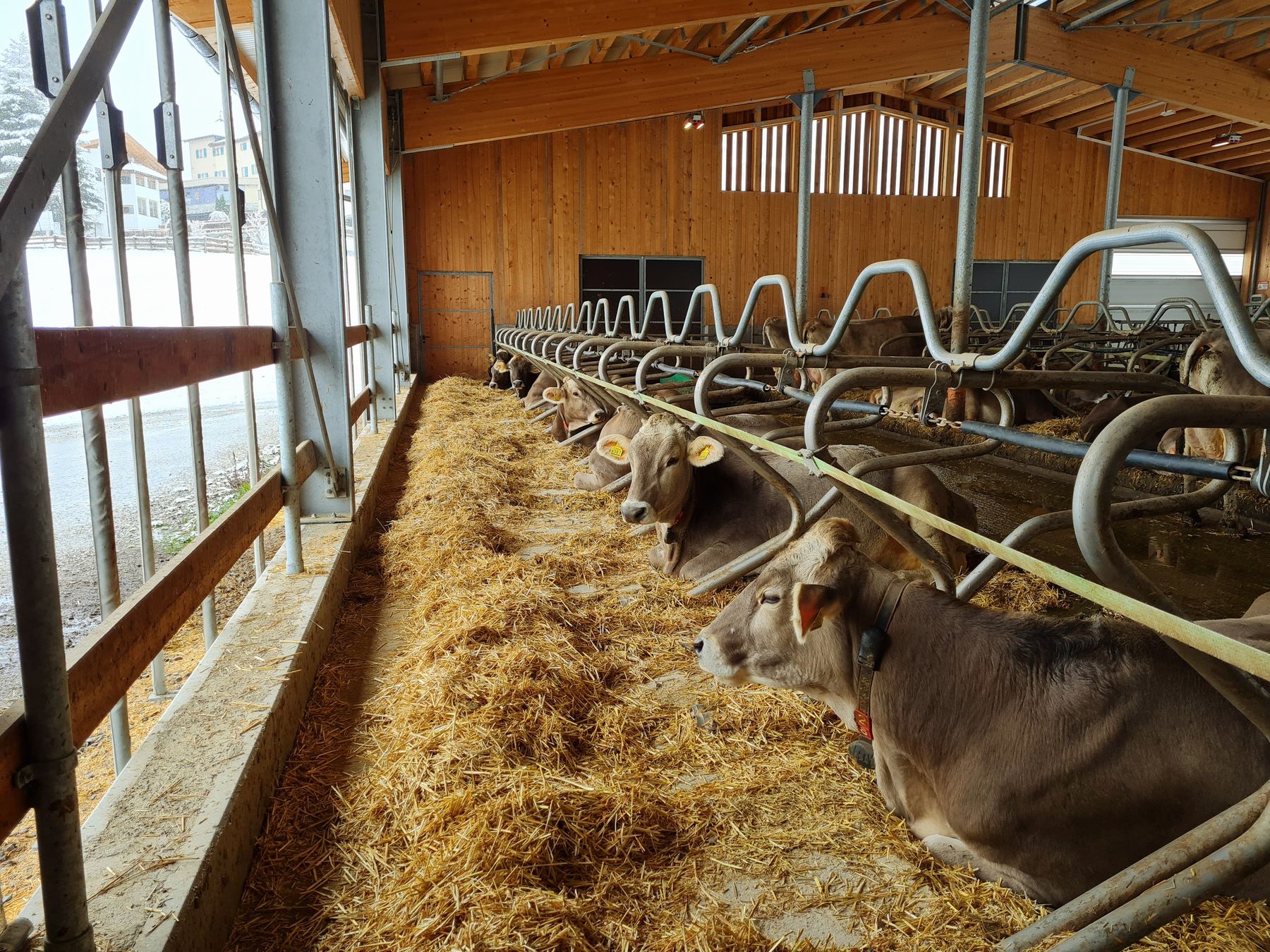 © AK Milch © AK Milch