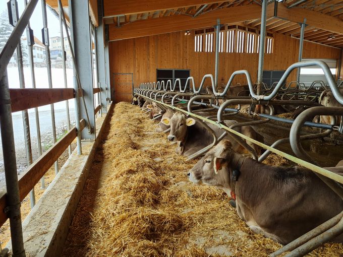 © AK Milch © AK Milch