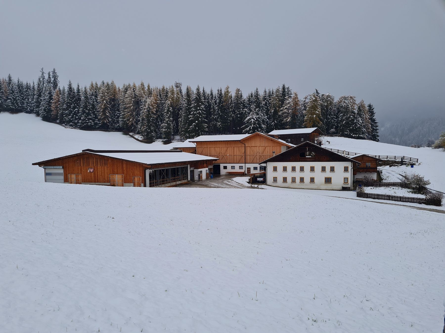 © AK Milch © AK Milch