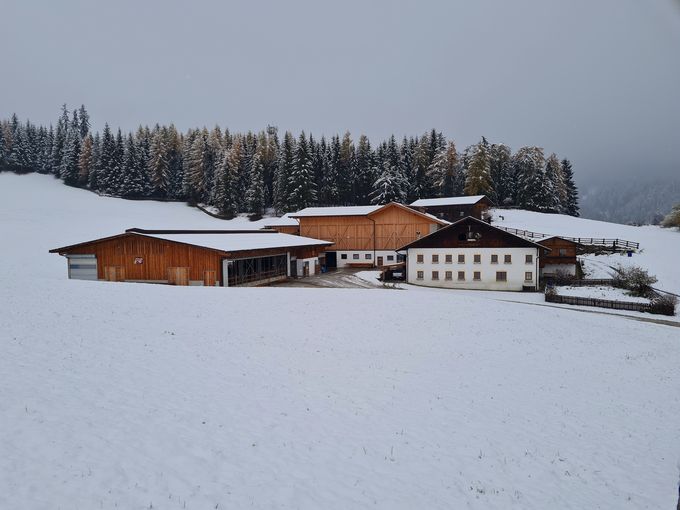 © AK Milch © AK Milch