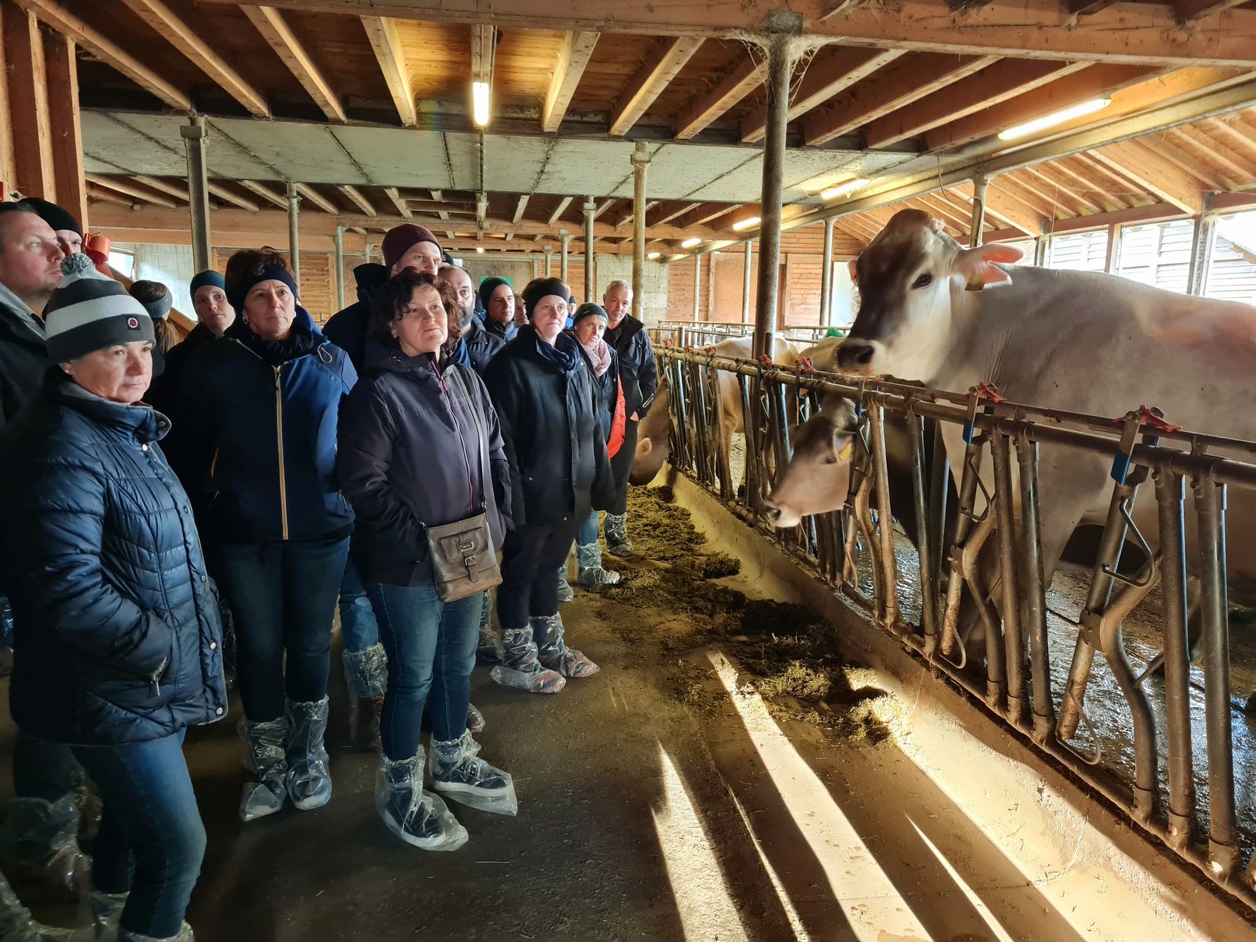 © AK Milch © AK Milch