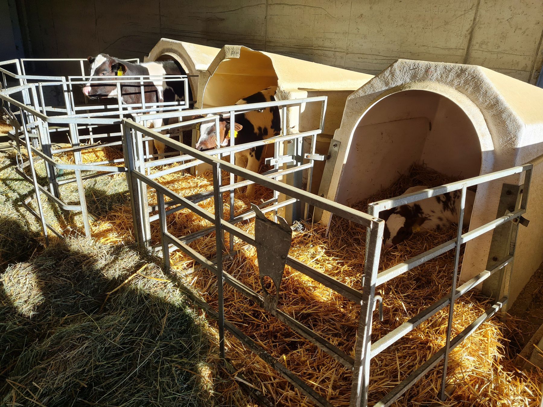 © AK Milch © AK Milch