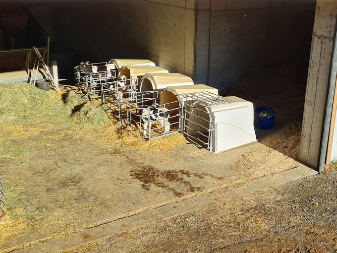 © AK Milch © AK Milch