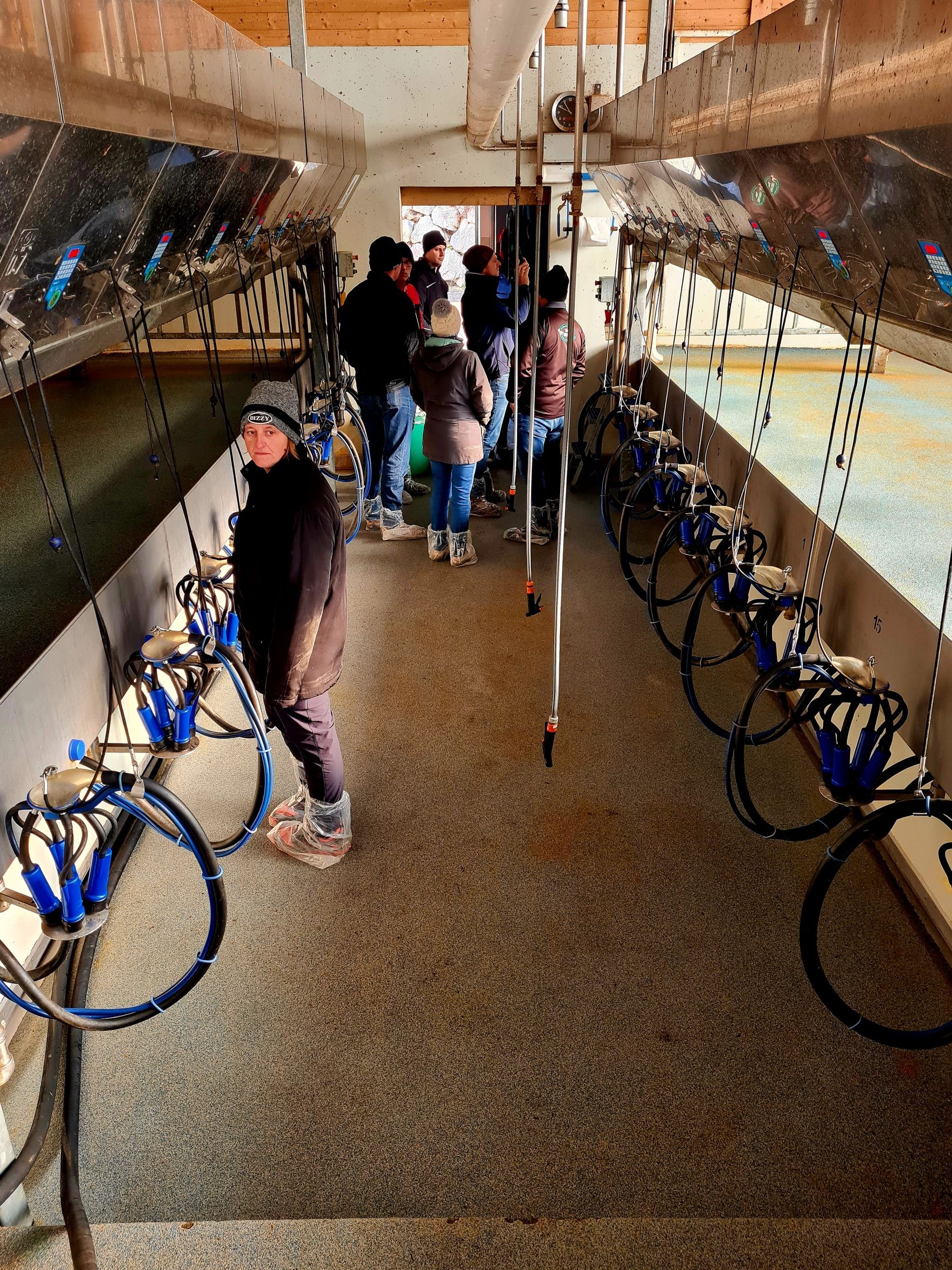 © AK Milch © AK Milch