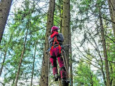 Baumabtragung © Agrarfoto für BauernJournal Baumabtragung © Agrarfoto für BauernJournal