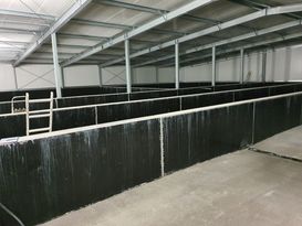 Repo 05 06 Betrieb Mörtenhuber Kremstalgarnelen Produktionshalle LK OÖ Lehner.jpg Repo 05 06 Betrieb Mörtenhuber Kremstalgarnelen Produktionshalle LK OÖ Lehner.jpg