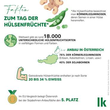 tag-der-hülsenfrüchte_grafik_220116_03.jpg © AIZ/Erhardt tag-der-hülsenfrüchte_grafik_220116_03.jpg © AIZ/Erhardt