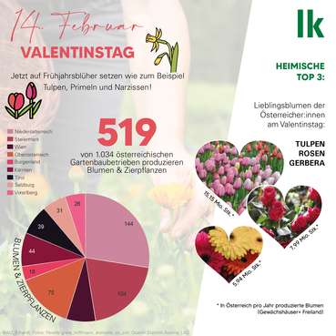 Grafik Valentinstag 2023