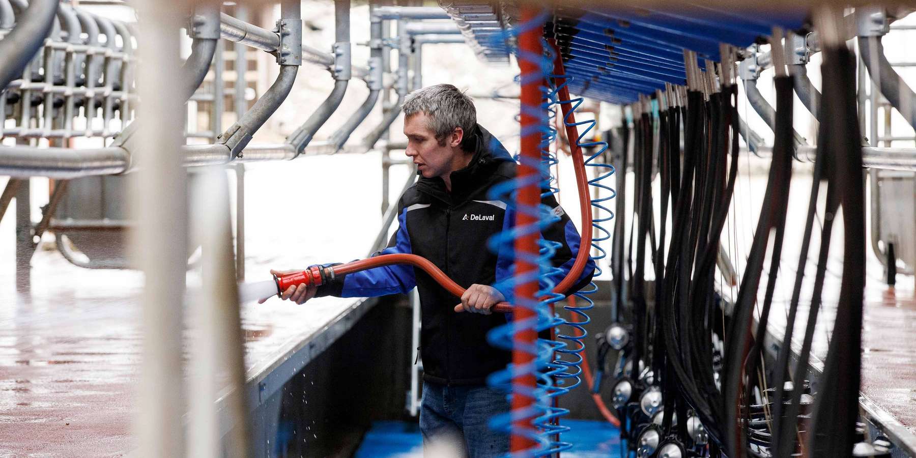 Sauberkeit im Umgang mit Milch steht bei Bäuerinnen und Bauern seit Jahrhunderten ganz oben auf der Agenda. © Billy O‘ Connor DeLaval Sauberkeit im Umgang mit Milch steht bei Bäuerinnen und Bauern seit Jahrhunderten ganz oben auf der Agenda. © Billy O‘ Connor DeLaval
