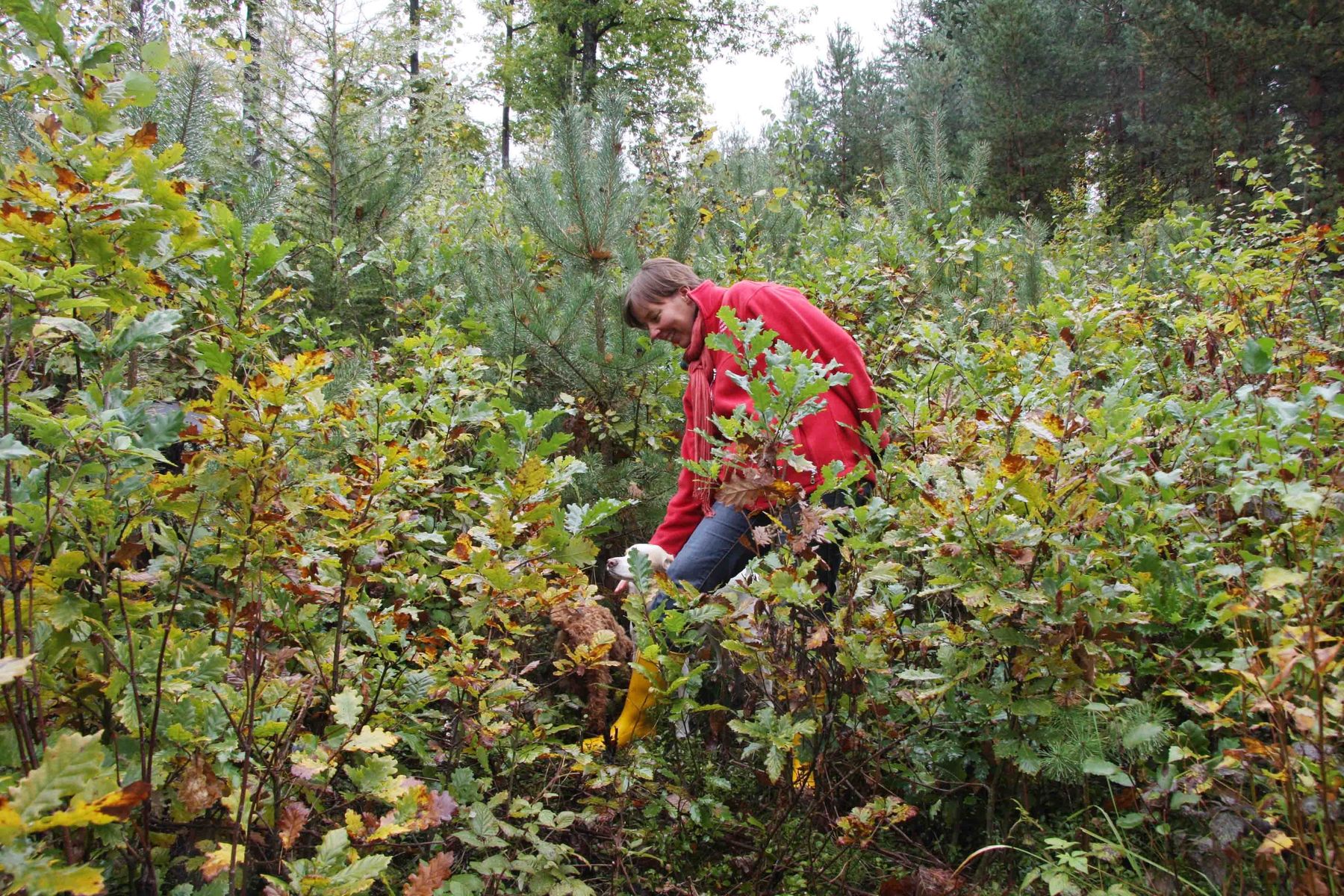 Forstwirtschaftsmeisterin Sandra Tuider setzt auf Naturverjüngung und Jagd.