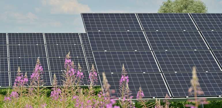 Photovoltaik mit Blumen