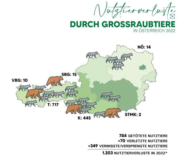 Großraubtiere.jpg © AIZ Quelle: Österreichzentrum Bär Wolf Luchs