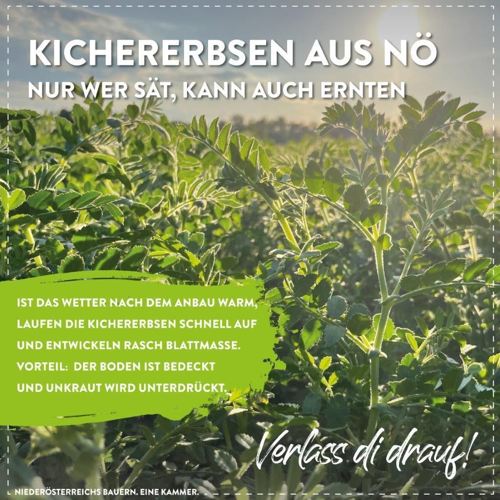 © Marlene Weitzenböck/LK Niederösterreich © Marlene Weitzenböck/LK Niederösterreich