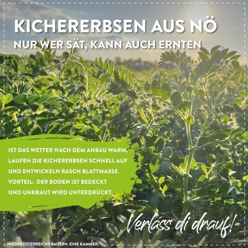 © Marlene Weitzenböck/LK Niederösterreich © Marlene Weitzenböck/LK Niederösterreich