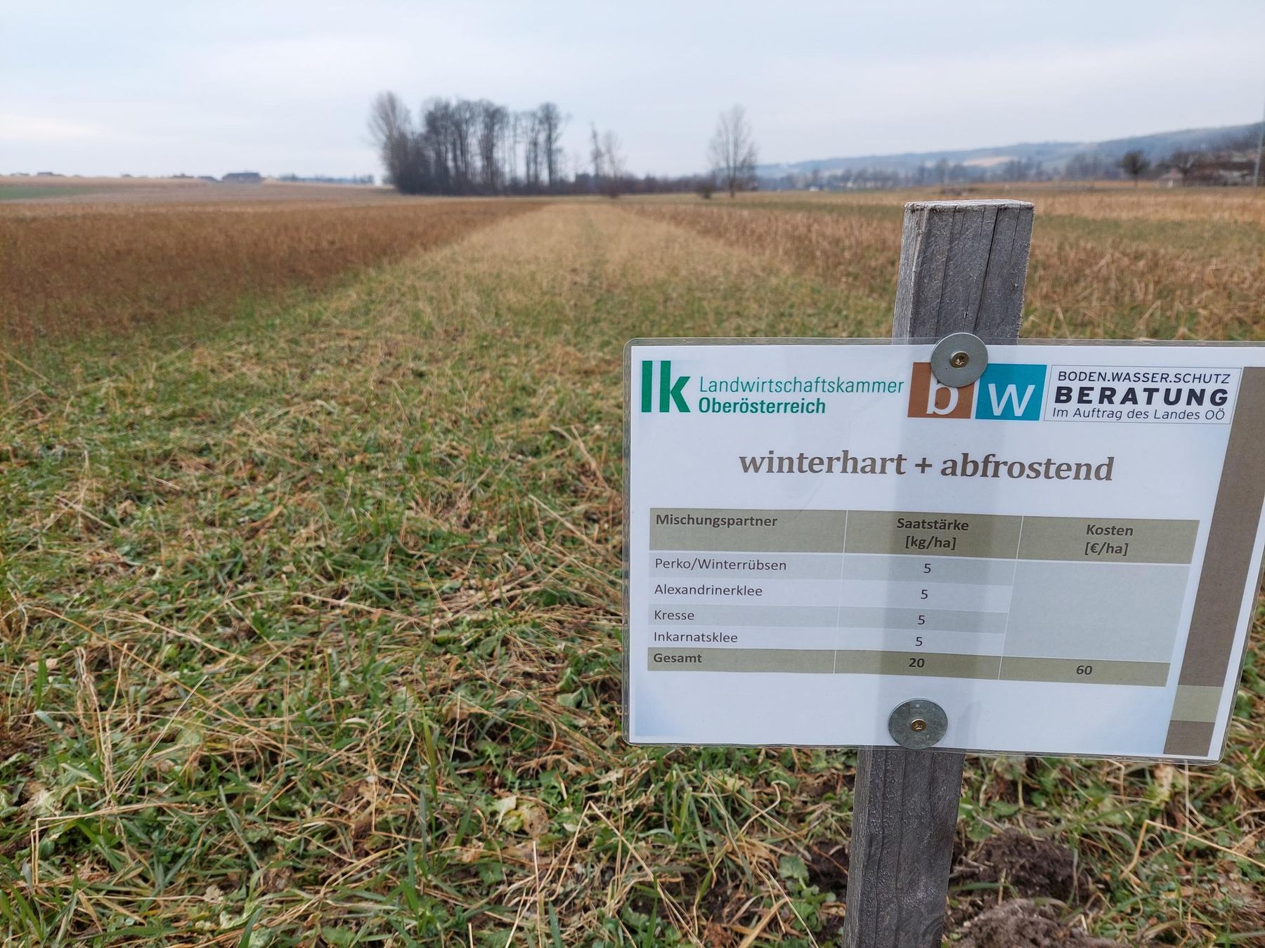 © BWSB/Wallner © BWSB/Wallner