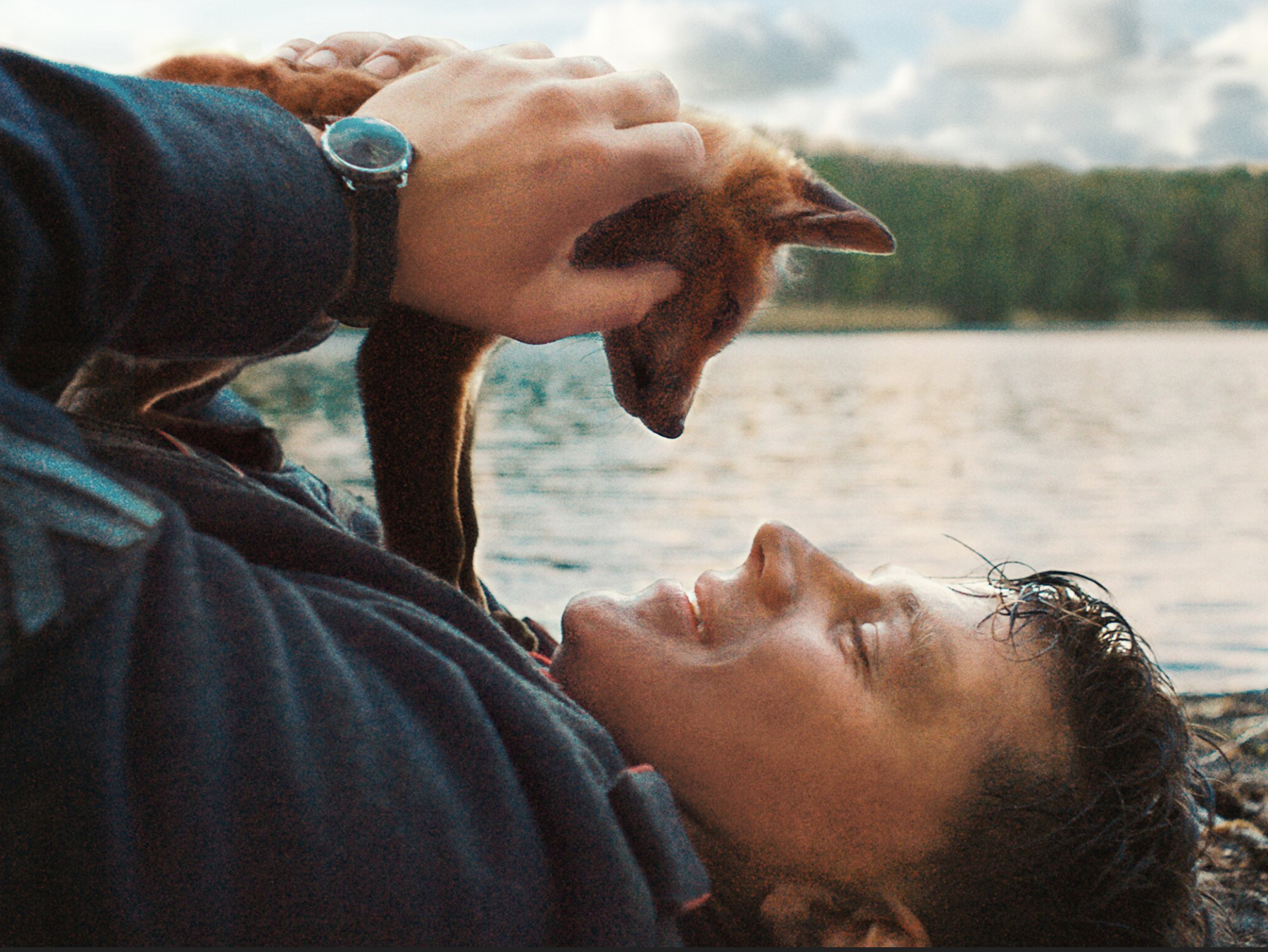 fuchs_franz.png © Alamode Film fuchs_franz.png © Alamode Film