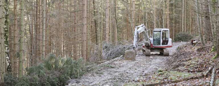 Ein Wegenetz ist die Voraussetzung für alle Pflegemaßnahmen im Wald. Ein Wegenetz ist die Voraussetzung für alle Pflegemaßnahmen im Wald.