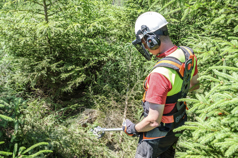 Tipps für die Werkzeugwahl im Wald. Damit werden Pflegemaßnahmen © Gerald Pfabigan/LFI