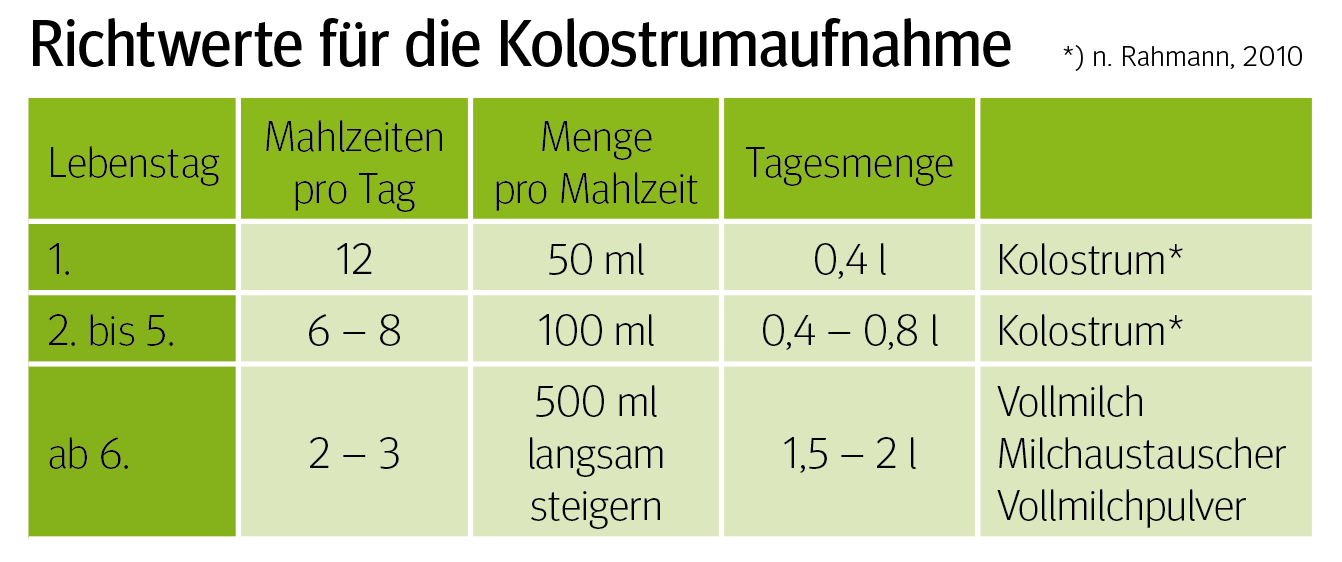 Ausfallursachen von Lämmern und Kitzen direkt nach der Geburt.png © n. Rahmen, 2010 Ausfallursachen von Lämmern und Kitzen direkt nach der Geburt.png © n. Rahmen, 2010