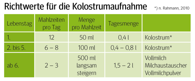 Ausfallursachen von Lämmern und Kitzen direkt nach der Geburt.png © n. Rahmen, 2010 Ausfallursachen von Lämmern und Kitzen direkt nach der Geburt.png © n. Rahmen, 2010