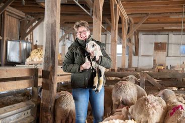 Lammzeit (2).jpg © dielechnerei Lammzeit (2).jpg © dielechnerei