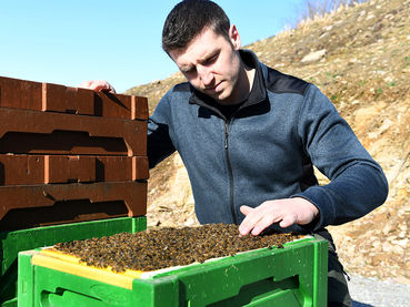 Landesverband für zukunfts- und erwerbsorientierte Imkerei in Kärnten.jpg