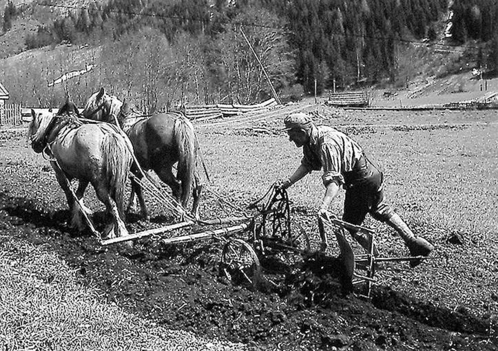 Rigele.jpg © Archiv Rigele.jpg © Archiv