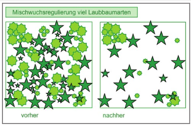 Screenshot 2023-03-03 085652.png © www.waldbauberater.at, Seite 56 Screenshot 2023-03-03 085652.png © www.waldbauberater.at, Seite 56
