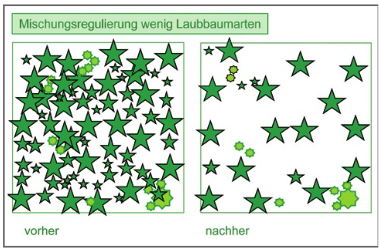 Screenshot 2023-03-03 085740.png © www.waldbauberater.at, Seite 56 Screenshot 2023-03-03 085740.png © www.waldbauberater.at, Seite 56