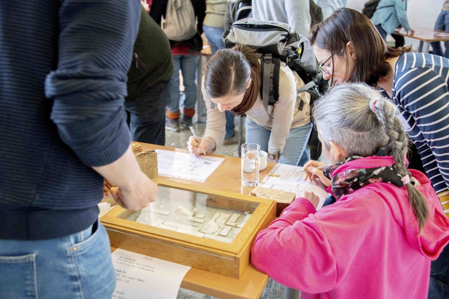 © Eva Lechner/LK Niederösterreich © Eva Lechner/LK Niederösterreich