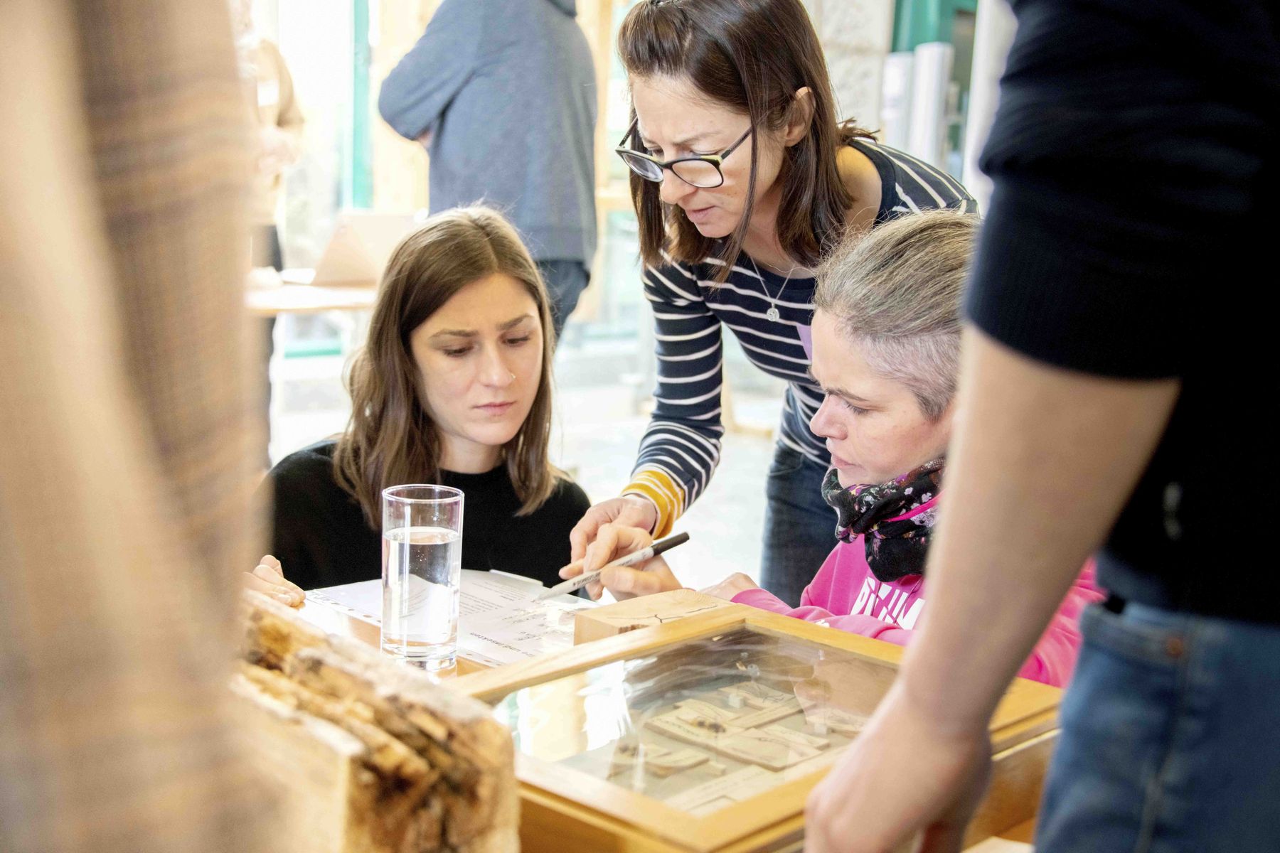 © Eva Lechner/LK Niederösterreich © Eva Lechner/LK Niederösterreich