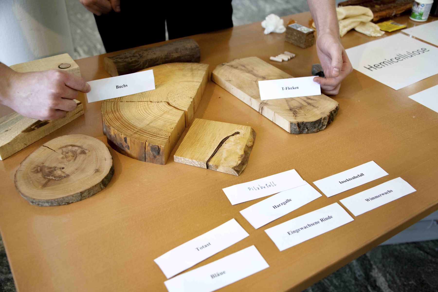 © Eva Lechner/LK Niederösterreich © Eva Lechner/LK Niederösterreich