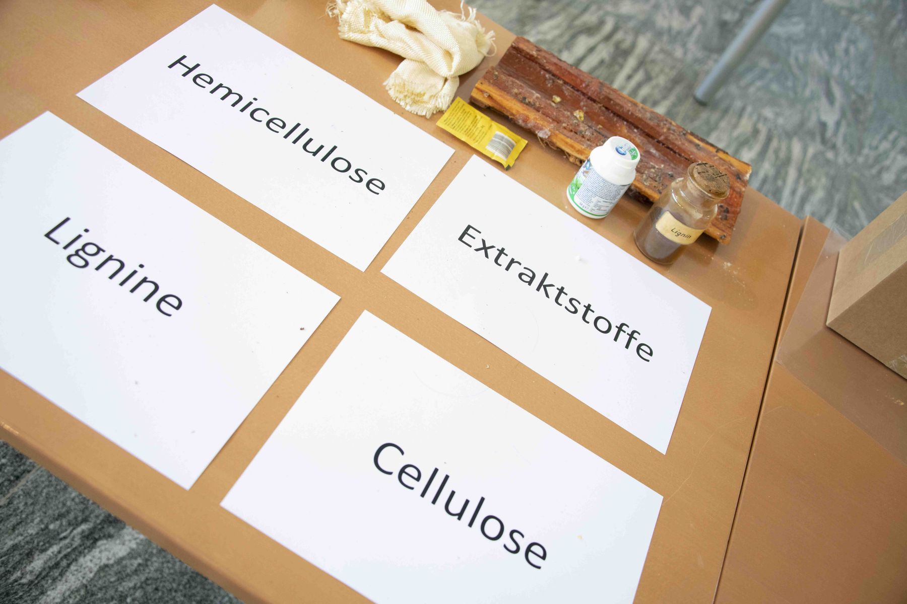 © Eva Lechner/LK Niederösterreich © Eva Lechner/LK Niederösterreich