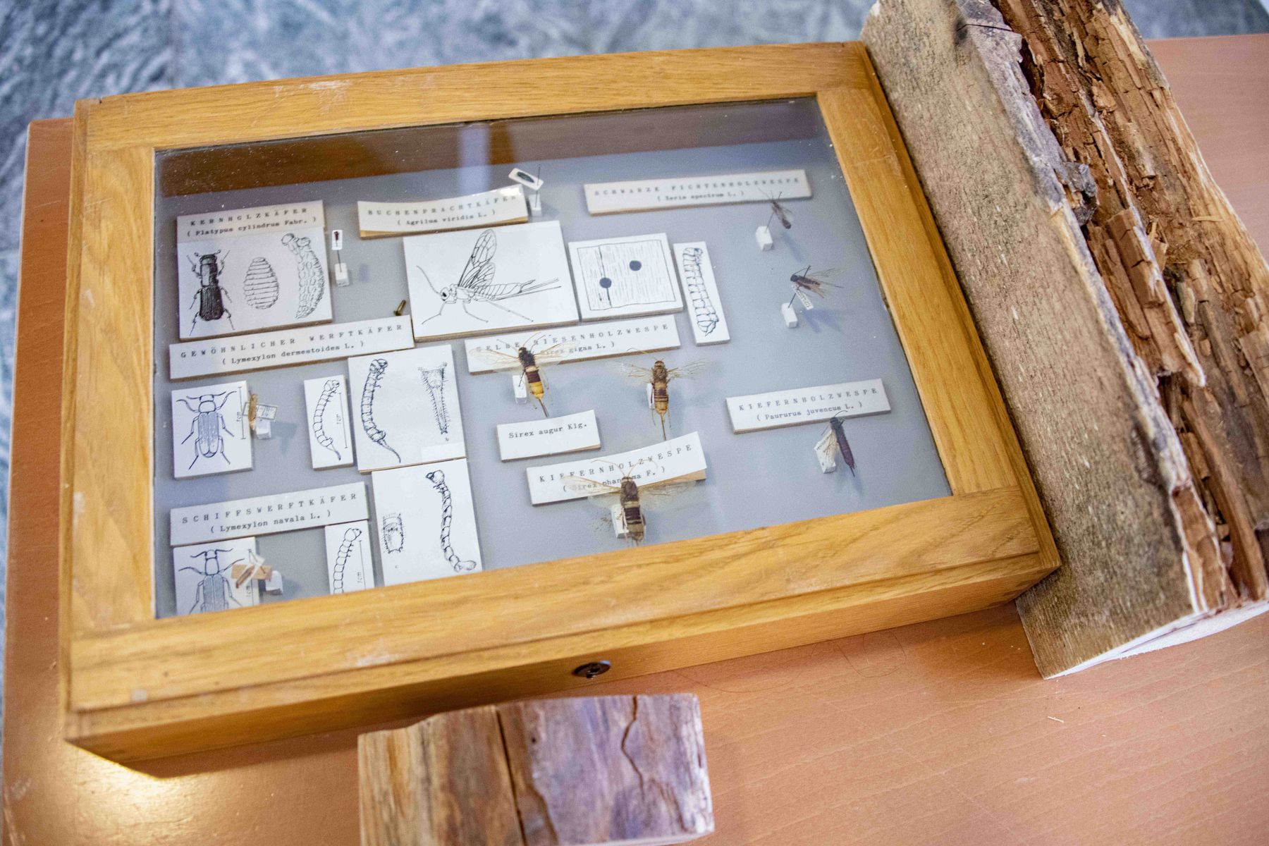 © Eva Lechner/LK Niederösterreich © Eva Lechner/LK Niederösterreich