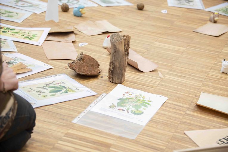 Waldpädagogik im Gespräch 2023 © Eva Lechner/LK Niederösterreich