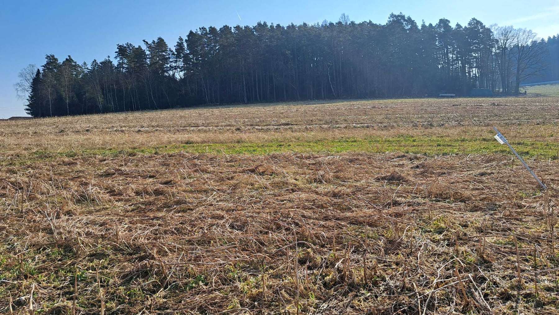 Besichtigung der Zwischenfruchtversuchsstandorte in Kefermarkt und Katsdorf, 3. März 2023 Besichtigung der Zwischenfruchtversuchsstandorte in Kefermarkt und Katsdorf, 3. März 2023