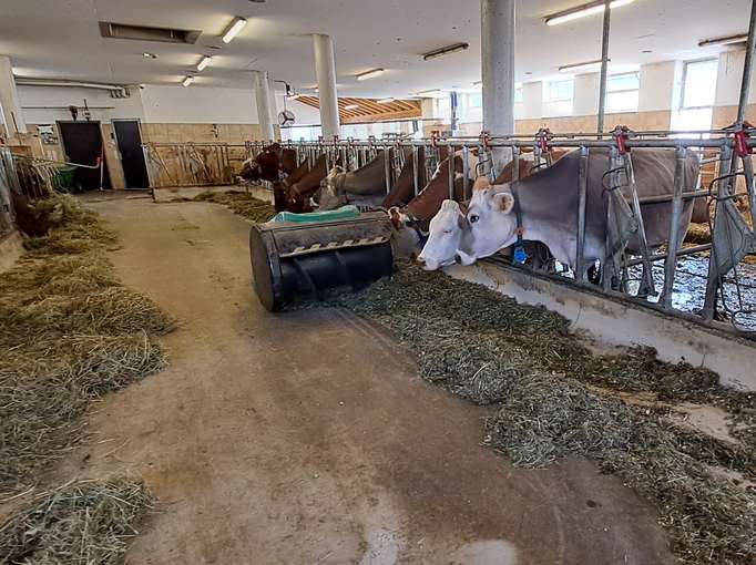 Die Landwirtschaft erdet uns.jpg