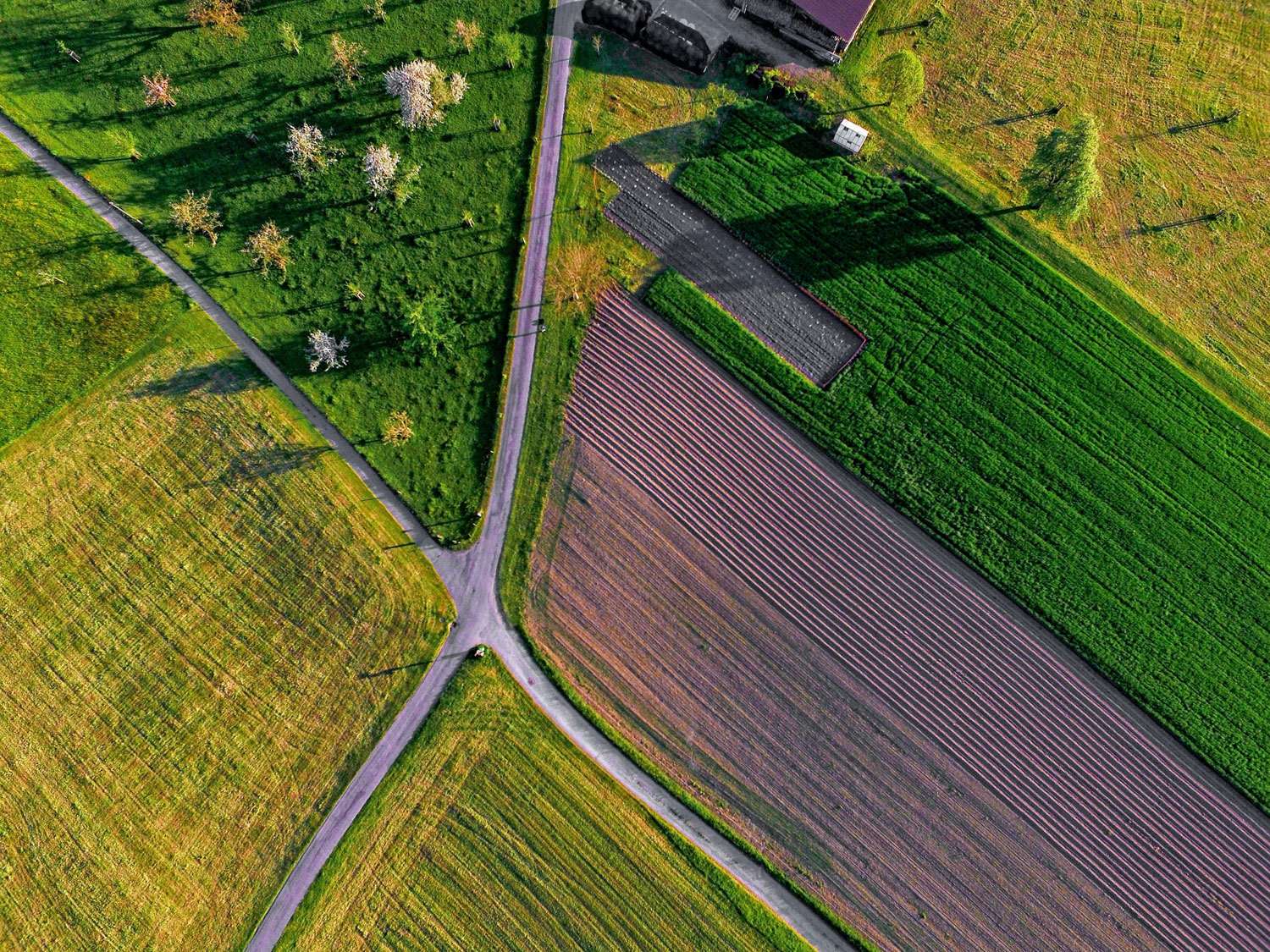 Felder von oben © Ricardo Gomez Angel auf Unsplash Felder von oben © Ricardo Gomez Angel auf Unsplash