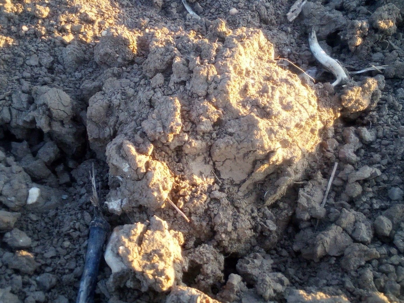 Element Erde_DI Peszt.jpg © DI Willi Peszt Element Erde_DI Peszt.jpg © DI Willi Peszt