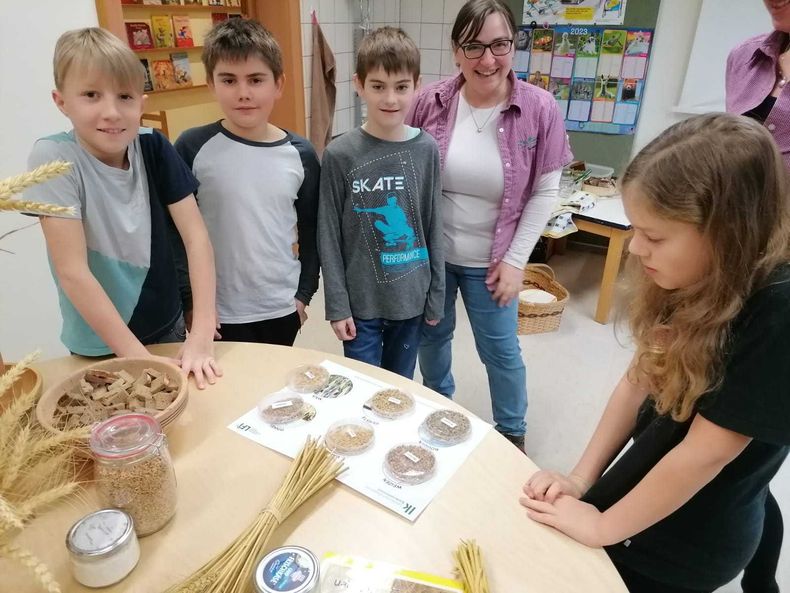 IMG-20230223-WA0026.jpg IMG-20230223-WA0026.jpg