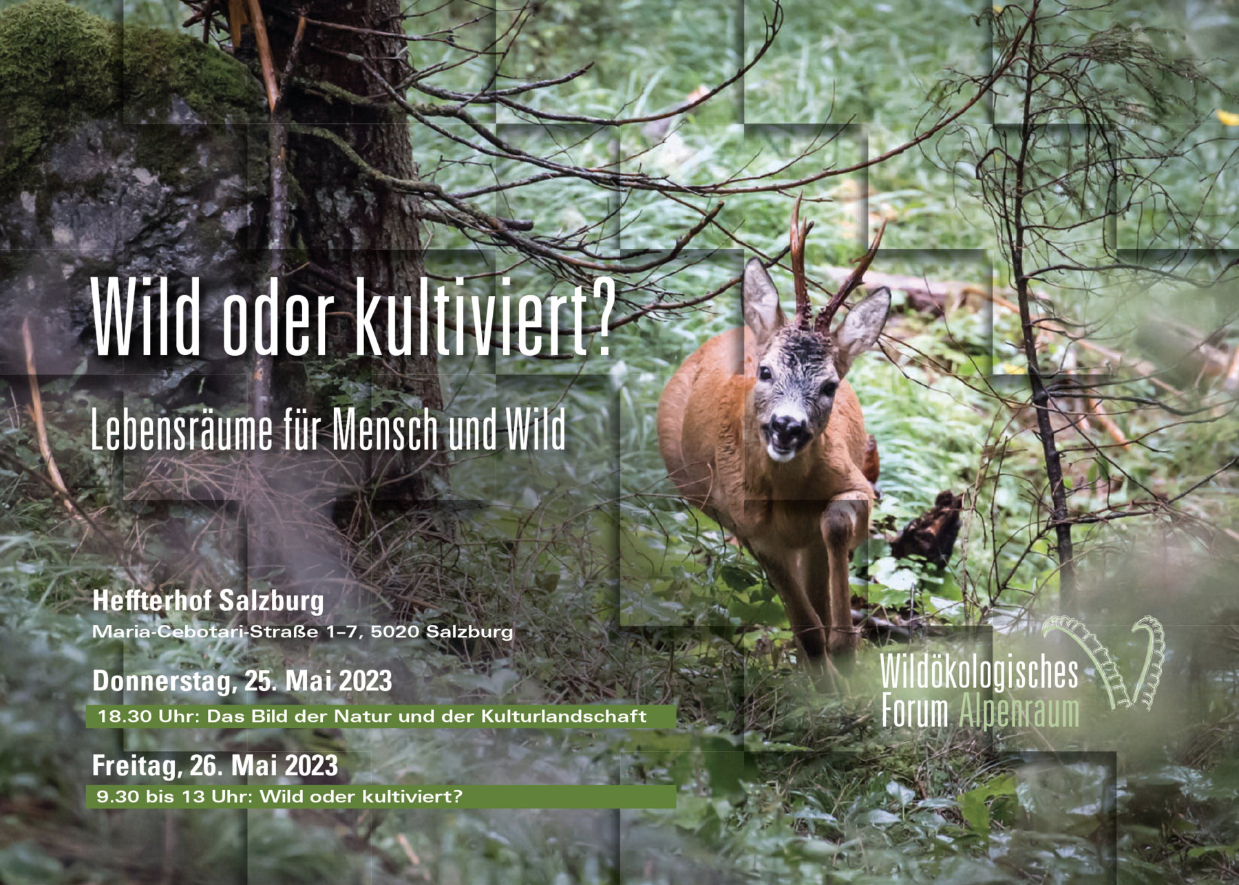 wöfa_2023.png © LK Salzburg / Adobestock-Rudi Reiner wöfa_2023.png © LK Salzburg / Adobestock-Rudi Reiner