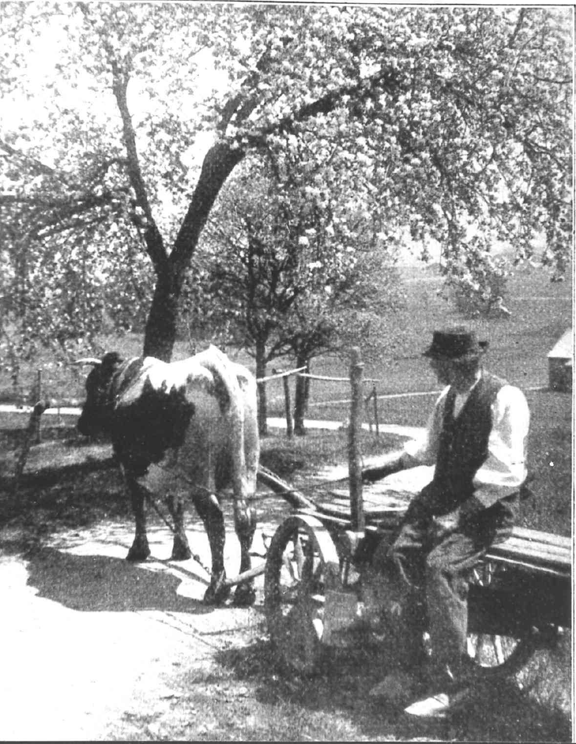 Hofzufahrt.jpg © Archiv Hofzufahrt.jpg © Archiv