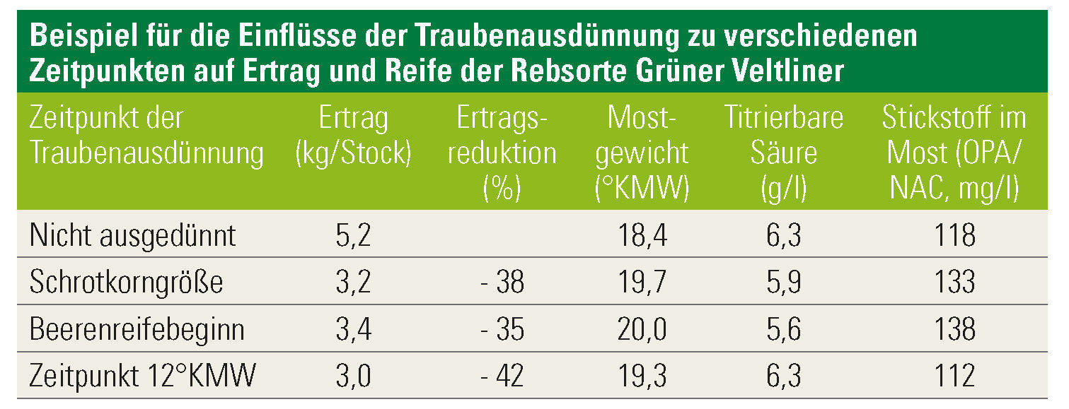 Beispiele für die Einflüsse der Traubenausdünnung.jpg © Österreichischer Weinbauverband Beispiele für die Einflüsse der Traubenausdünnung.jpg © Österreichischer Weinbauverband